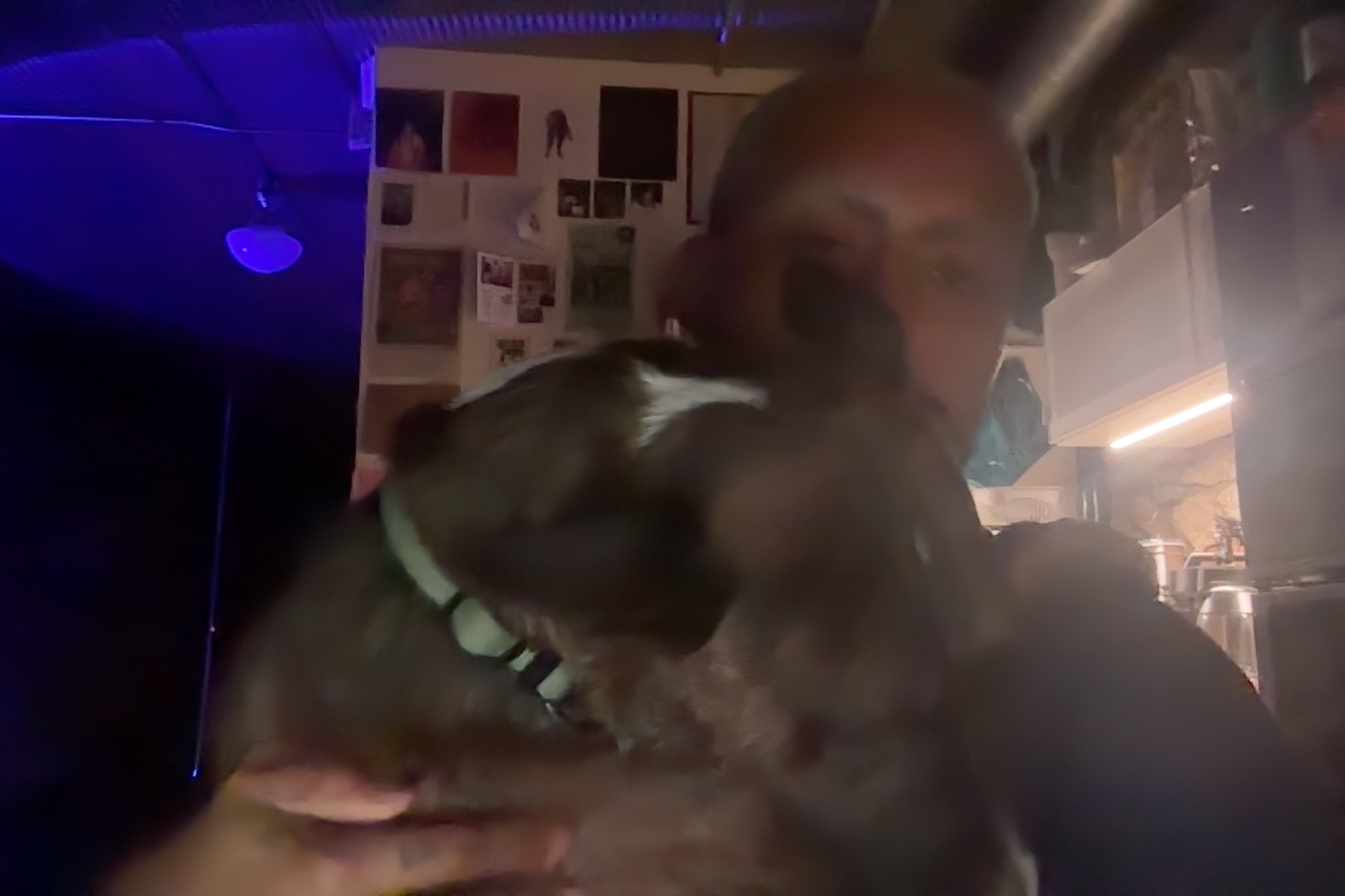 a sappy speech about {B/qKC}’s official website launch